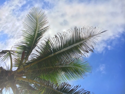 jesslaure: |old san juan, puerto rico|