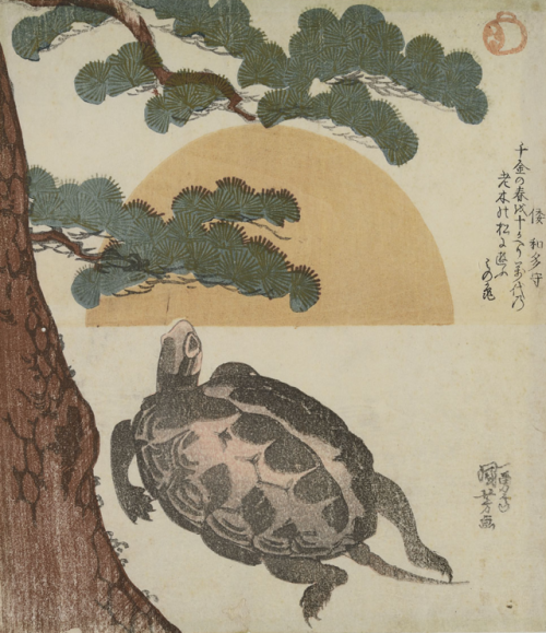 nemfrog:Turtle, pine and evening sun. 19th century. Utagawa Kuniyoshi. 
