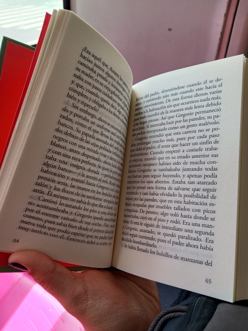 Dato 4: Amo Los Libros Con Mi Vida. Son El Nico Espacio En El Que Puedo Olvidar Toda Mi Realidad, Es