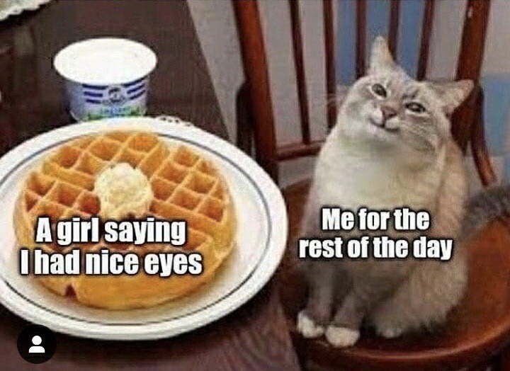 dankmemeuniversity: