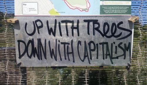 “Up with Trees, Down with Capitalism”Solidarity with all the young people who took to the streets fo