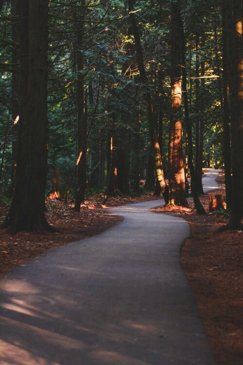 Old Dirt Road Take Me Home