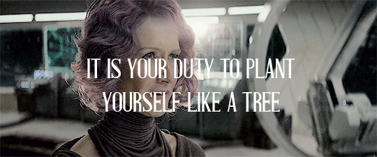 heythereflyboy:  Compromise where you can. And where you can’t, don’t.  (because