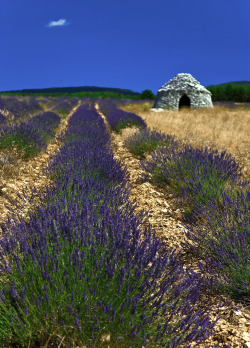 breathtakingdestinations:  Drôme - Fance (von Vainsang)