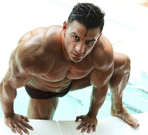 Adonis Files