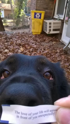 cute-overload:  The only fortune thats ever come truehttp://cute-overload.tumblr.com