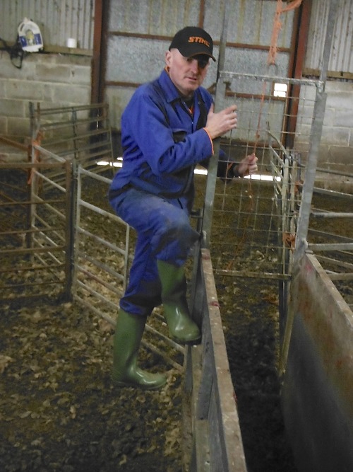 pro1892:  worklad12: Working on the sheep farm in Wales- Worklad12 Pro1892 