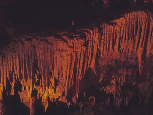 rabbitcruiser:In Kentucky’s Mammoth Cave National Park, a Cave Research Foundation exploration and m