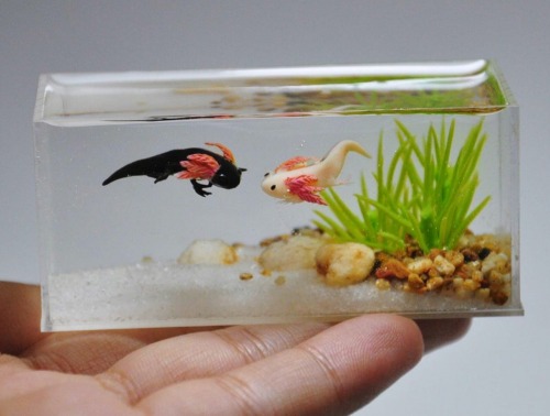 sosuperawesome:  Animomal on Etsy