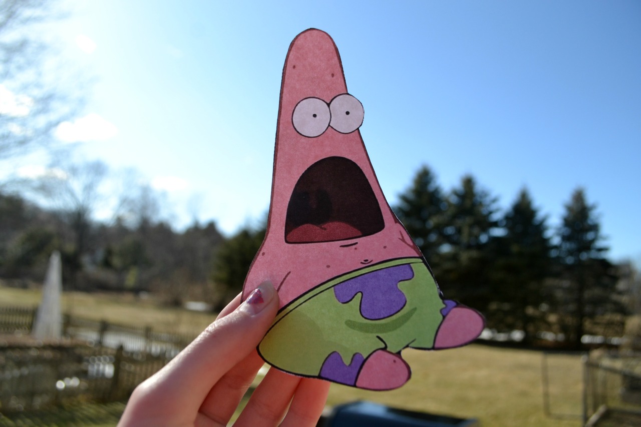 cra-yola:  b4by-gir4ffe:  I had to  quality patrick yes yes 