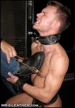 melbsubsir: mister-sir1:  When you want to be sure they’re tight enough.  The collar really suits this boy! 