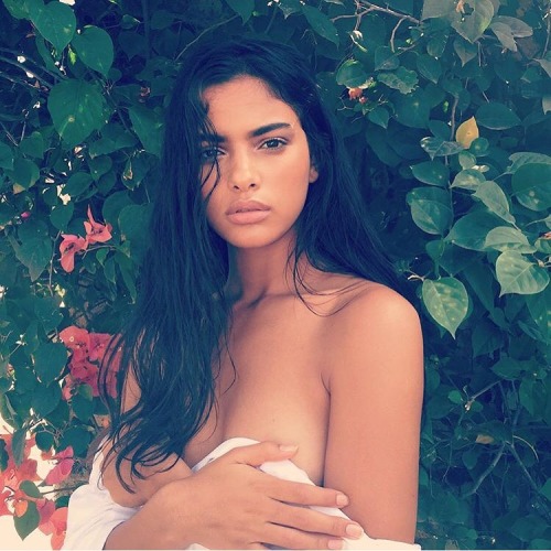 https://exoticdimes.tumblr.com/post/139748318400