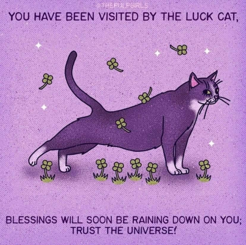 official-witchy-vibes:Head over to Witchyvibes.org for some luck 🍀 