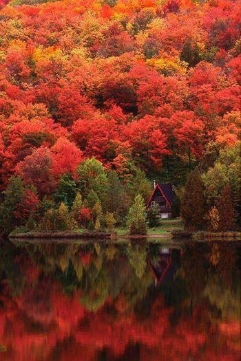 Places I could call home.