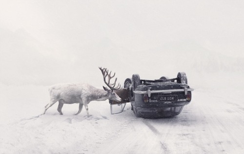 rhubarbes:Martin Stranka photography 