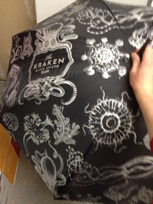 alexicalgap: brain-confetti: Hmm. Do I need a $35 umbrella? No. But, yes. O.o