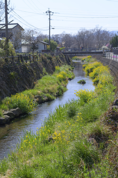 Yufuin, Oita, March 2022