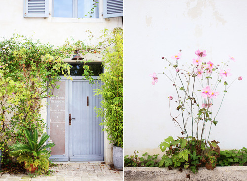 melodyandviolence:    A Trip To Ile de Ré by   Christine Kim  