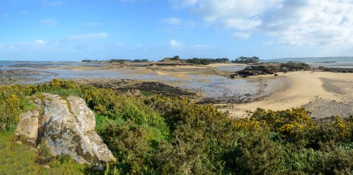                     vue panoramique de l’île Callot ( Carantec )