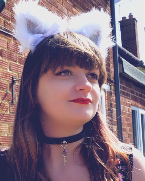 ashtaia:  New kitten ears 😻  Thank you Sir for spoiling me @malicrss 