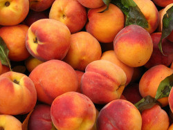 selenakitt:  mmm peaches  Mmmm indeed