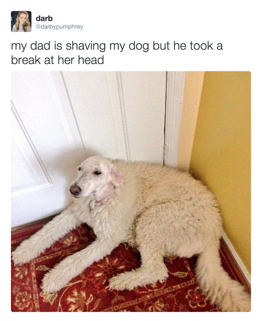 what