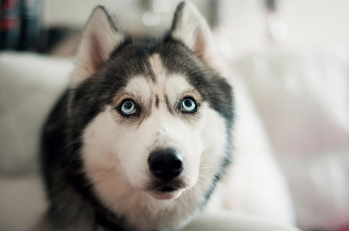 brutalgeneration:  By Omar Suljic