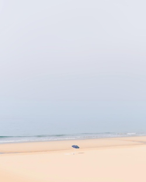 nevver:Isolation Party, Teresa Freitas