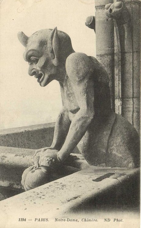 c86:Gargoyles of Notre Dame Cathedral