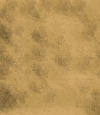 164