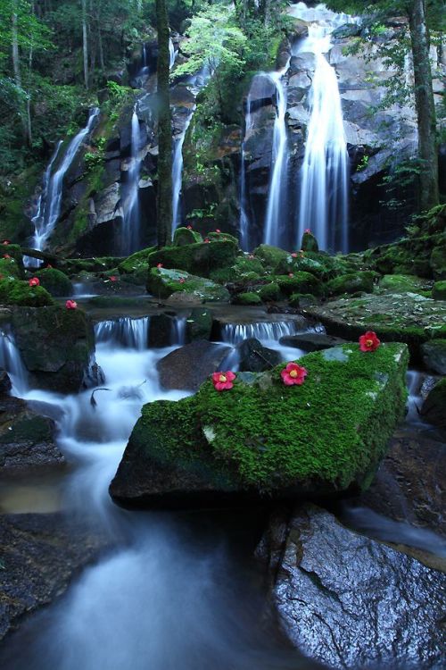 Kanabiki Falls, Kyoto, Japan                    