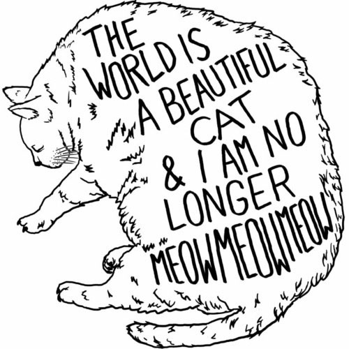 Hello~Meow