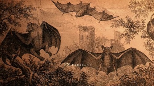 mannyblacque:Bat illustrations from the opening titles of What We Do In The Shadows. [source]