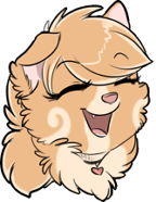The Frequently asked pomeranian