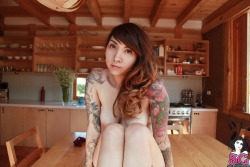 sglovexxx:  Bruise Suicide