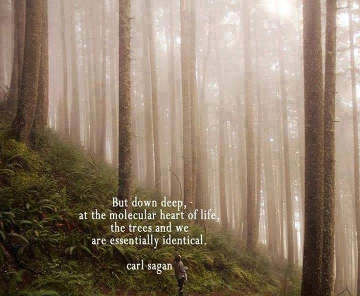 inspirationwordslove:  But deep down at the inspiration positive words 