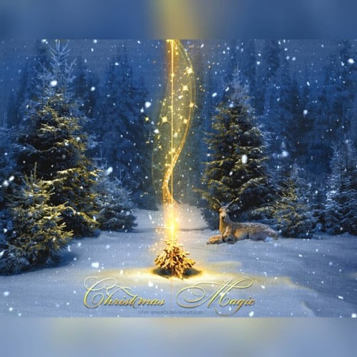 The Magic of Christmas!!! 🎄