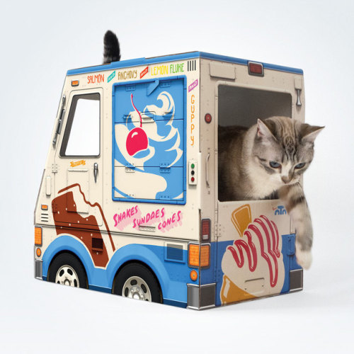 Cardboard Shelters Let Your Cat Live Out Their Human DreamsC’mon, let your cat live out its dr