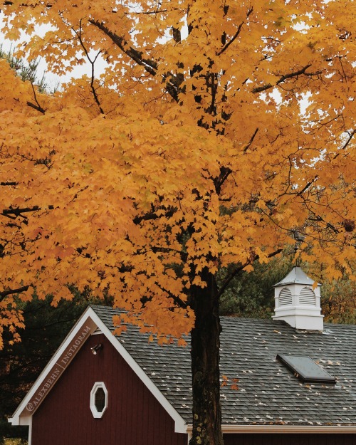 this-harvestmoon: Autumn in Ancram, New York ↣ alexbehn on instagram