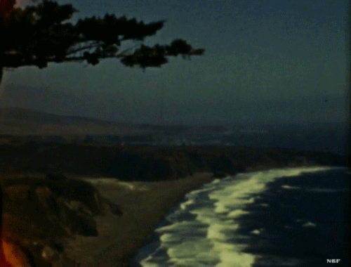nobrashfestivity:Unknown, Home Movie, 1942