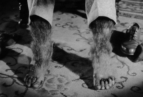 vixensandmonsters:  “Even a man who is pure in heart and says his prayers by night, may become a wolf when the wolfbane blooms and the autumn moon is bright.” The Wolf Man (1941) 