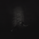 dreamerboisworld: