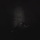 dreamerboisworld: