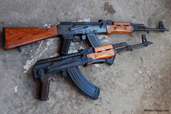 tristikov:  Would you like your AK M? Or