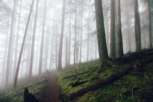 samelkinsphoto:  Today’s adventure with new friends.