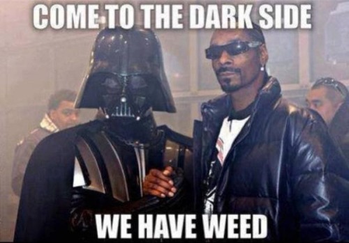 rapoetry:  lmao  