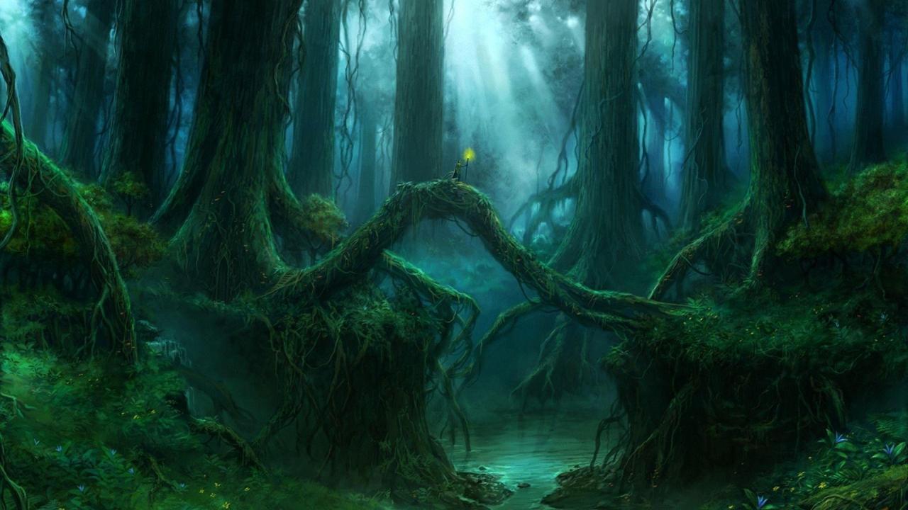Elven Forest: Photo