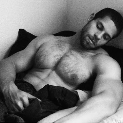 You Can't Spell 'Beard' Without 'Bear'