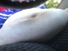 feedqueenisabel:My phone has been missing for a couple weeks just got back up on