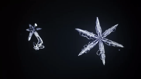 nubbsgalore:snowflake crystallization microscopy (x)